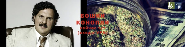 гидропоника Алексеевка