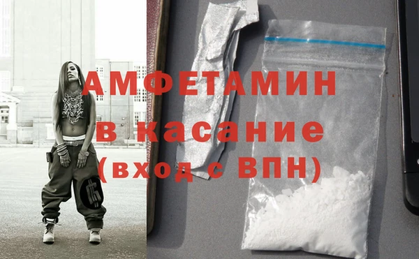 мет Алексин