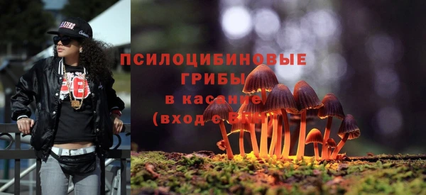 гидропоника Алексеевка