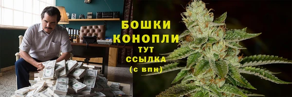 соль ск Новодвинск