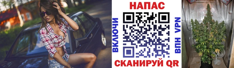 Бошки марихуана гибрид  Анадырь 